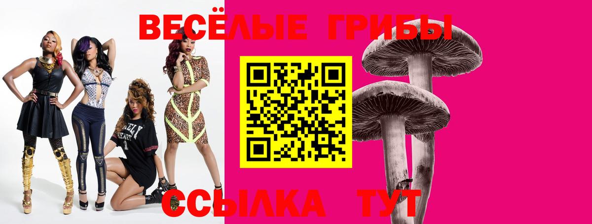 Псилоцибиновые грибы GOLDEN TEACHER  Вход с VPN  Иваново 
